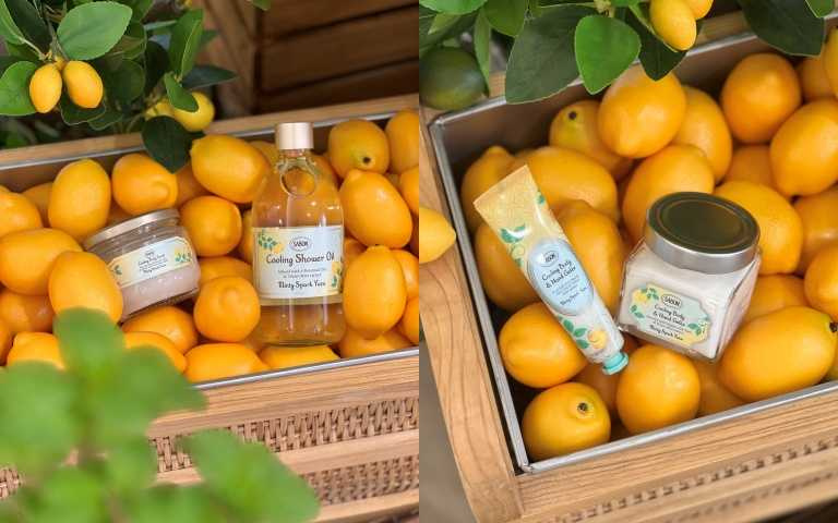 (左)以荷荷芭、橄欖、酪梨等天然油溫柔洗淨,同時注入清新柚香與薄荷涼意。SABON 沁柚莫西多沐浴油300ml / 1,080元、500ml / 1,380元。(左)死海鹽搭配天然植物油,磨砂瞬間如碎冰滑過肌膚,淡澀柚皮香在浴室中緩緩蔓延。SABON沁柚莫西多身體磨砂膏320g / 1,580元。(右)富含仙人掌籽與蘆薈,清涼水感凝凍質地,保濕不黏膩。SABON沁柚莫西多保濕護手身體凝凍200ml / 1,580元、30ml / 480元(圖/品牌提供)