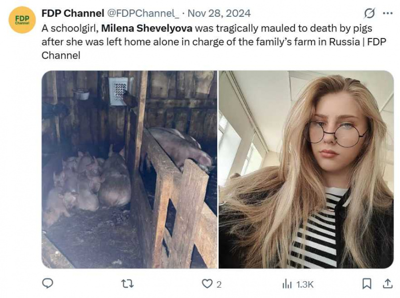 命案現場位於克拉斯諾亞爾斯克地區一處私人農場豬舍，少女遭遺棄後不治。（圖／翻攝自X，@FDPChannel_）