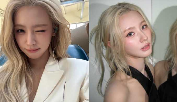 (圖/取自 noodle.zip IG)