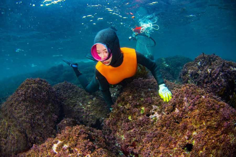 《潛進韓國：宋智孝的海女冒險》將透過宋智孝的視角講述海女的生活。（圖／BBC Studios提供）