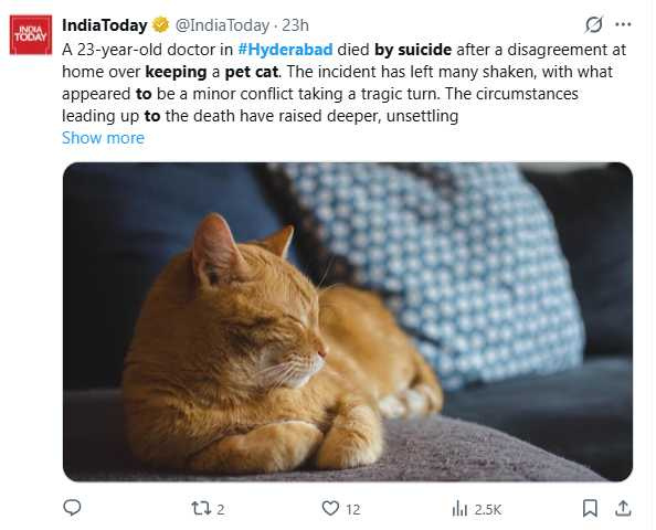 養貓問題引發家庭衝突,女醫師疑因家庭衝突事件身亡。(圖/翻攝自X,@IndiaToday)