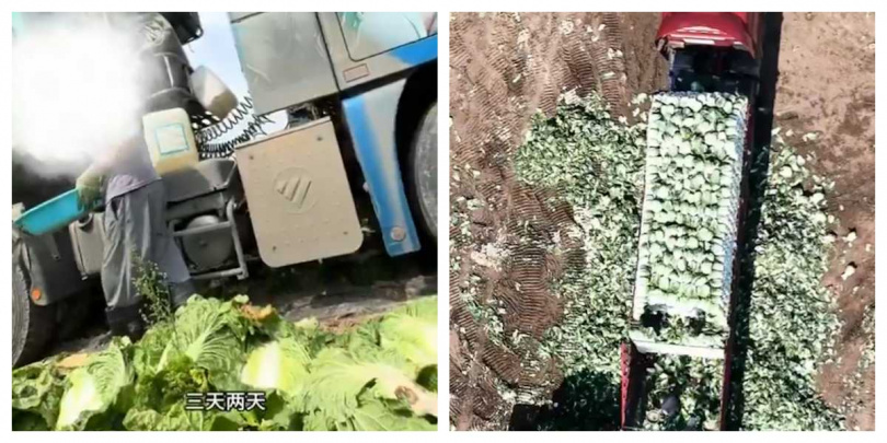 畫面顯示,大白菜準備裝車外運前先接觸不明液體,現場還出現標示「甲醛」字樣的容器。