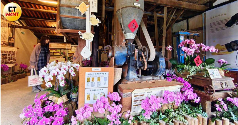 木造結構的義昌碾米廠頗有歷史感，現也變身蘭展相關小展區，讓蘭花與米糧文化相結合。（圖／魏妤靜攝）
