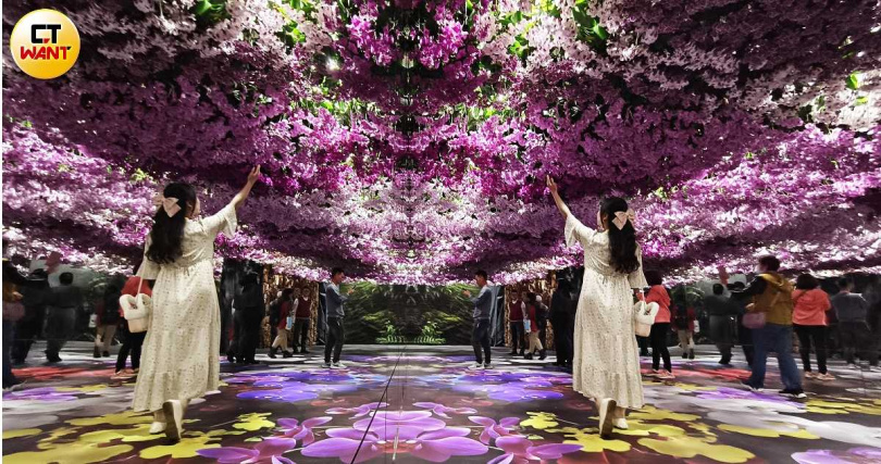 蘭展主題館透過鏡面與蘭花造景打造無限延伸的空間。（圖／魏妤靜攝）