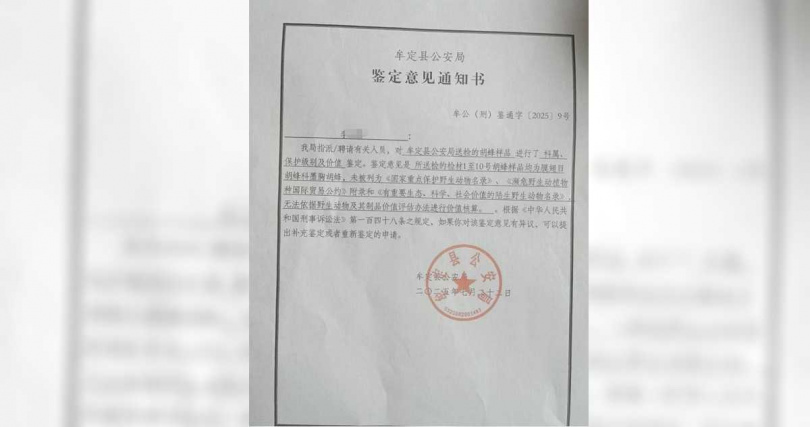 警方鑑定,肇事蜂群為墨胸胡蜂,屬高危種類。