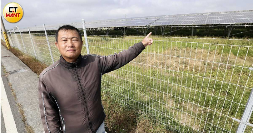 彰化縣芳苑鄉民洪建興(圖)直指光電板鋪設面積蠶食鯨吞了農耕地,其下的草叢堆養肥不少老鼠更時不時大嗑附近農作物,他直呼「根本耕不下去」。(圖/方萬民攝)