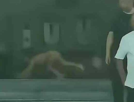 大陸一段拍攝於四川雅安石棉縣的影片近日在網上引發熱議。(圖/翻攝自微博)