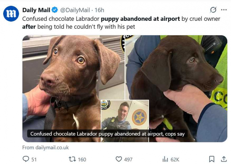 德州男子因無法攜帶寵物登機，將幼犬棄置機場外，面臨動物虐待與棄養指控。（圖／翻攝自X，@DailyMail）