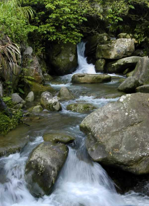 三峽山區某處山泉水早年曾讓眾多茶人趨之若鶩。(圖/吳德亮攝)
