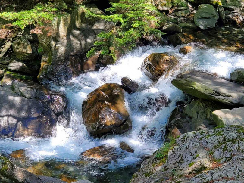合歡溪水源頭終年不超過10℃的極冷溪水。(圖/林德欽提供)