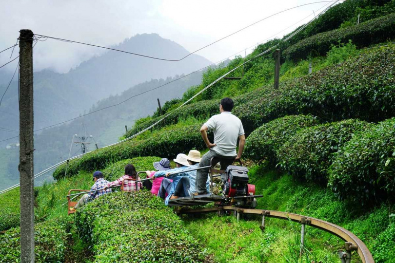大禹嶺茶區搭上運送茶菁為主的單軌車上下山頂。(圖/吳德亮攝影)