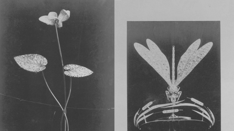 （圖／品牌提供）