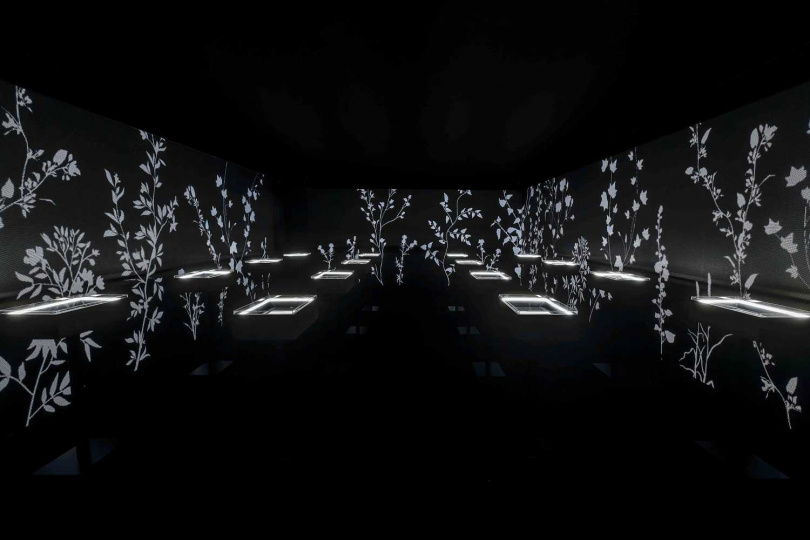 （圖／品牌提供）