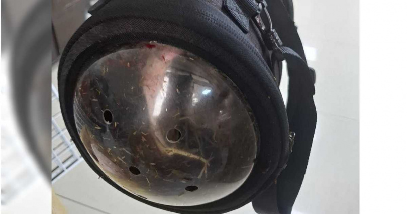 台中市南屯區10日發生一起情殺案，一名24歲詹姓男子以「歸還寵物鼠」為藉口，相約18歲詹姓前女友見面，怎料過程中因復合遭拒，竟氣憤掏出水果刀，朝對方胸、背狠刺2刀，導致詹女當場失去呼吸心跳，緊急送醫搶救仍因傷重宣告不治。（圖／報系資料照）