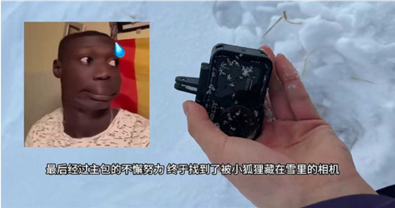 畫面顯示狐狸用鼻子與前掌推雪，試圖掩埋相機，動作十分謹慎。