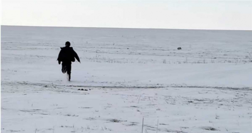 第一視角拍下狐狸圓滾滾的眼睛與掘雪動作，模樣逗趣療癒。