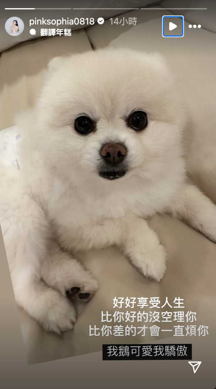 代言被搶新聞曝光後，王思佳疑似在IG上抒發心情。（圖／王思佳IG）