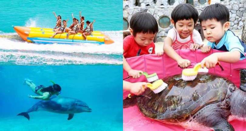 &nbsp; （圖／取自&nbsp;rakuten.com）&nbsp;&nbsp;