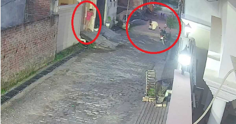 鄰居南希衝出門外,成功驅趕流浪犬,搶救受傷男童。(圖/翻攝自X)