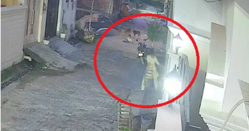 鄰居南希衝出門外,成功驅趕流浪犬,搶救受傷男童。(圖/翻攝自X)