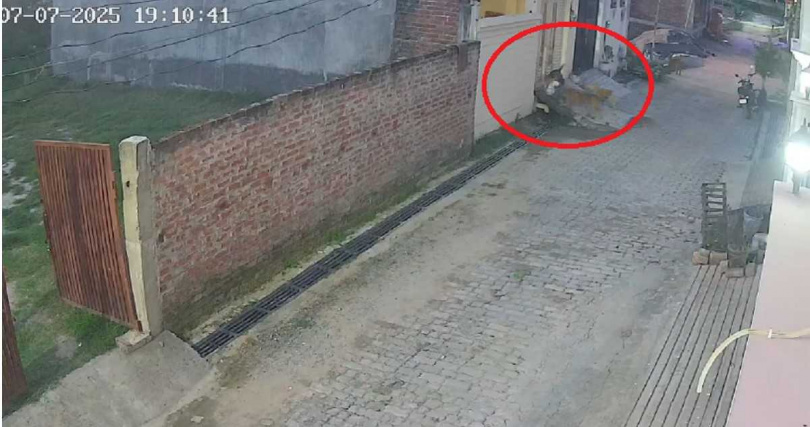 監視器畫面顯示,印度北方邦一名男童遭流浪犬群攻擊並被拖行至馬路,場面駭人。(圖/翻攝自X)
