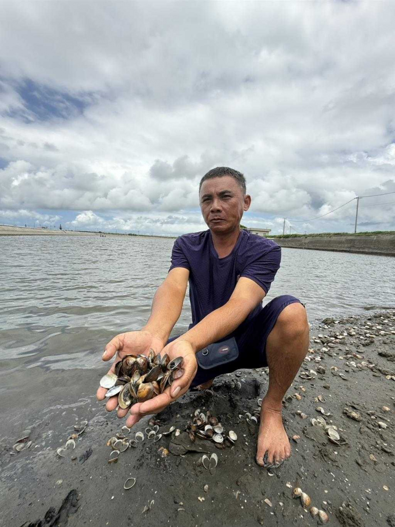 養殖戶看著辛苦飼養近10個月的心血化為烏有,十分無奈。(圖/中國時報周麗蘭攝)