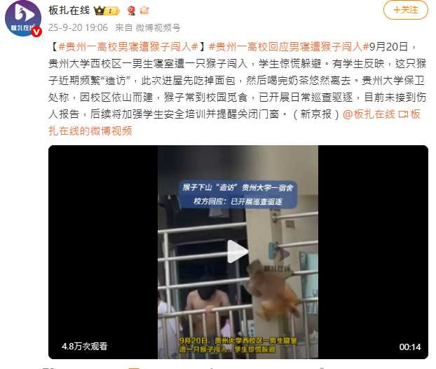 貴州大學西校區男生宿舍驚傳猴子闖入，校方表示已加強巡查並提醒學生關好門窗。 （圖／翻攝自微博， 板扎在線 ）