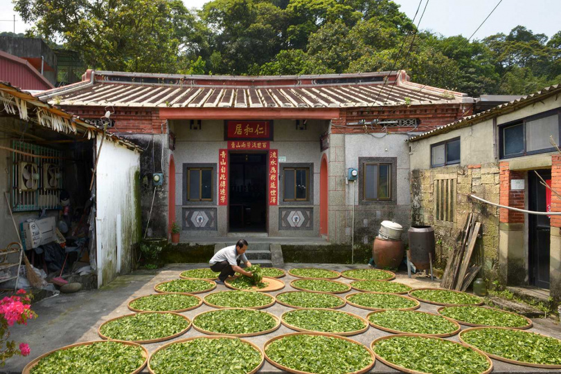 在木柵貓空僅存的三合院祖厝為剛採得的鐵觀音作日光萎凋。（圖╱吳德亮攝）