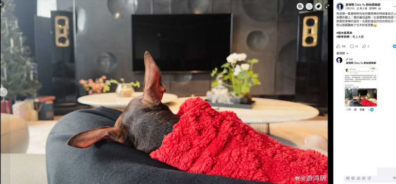 愛犬Day Day曾出現在游鴻明的社群上,放鬆的背影相當可愛。(圖/翻攝自游鴻明臉書)