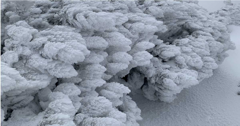 雪管處提醒，山區持續低溫，軟雪將變成硬冰，步道路面會更加溼滑，呼籲山友切勿勉強攀登。（圖／擷取自Facebook／雪霸國家公園）