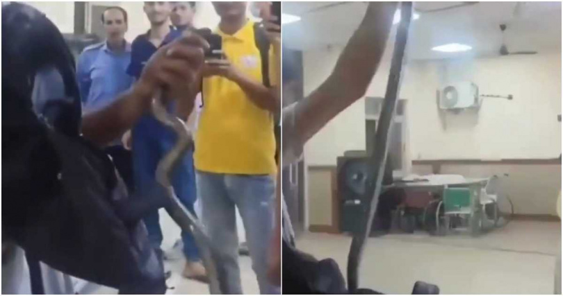 印度一名男子近日前往醫院就醫，他告知醫護人員自己遭蛇咬傷後，下秒竟從背包裡「拉出一條蛇」，嚇壞現場所有人。（圖／擷取自X）