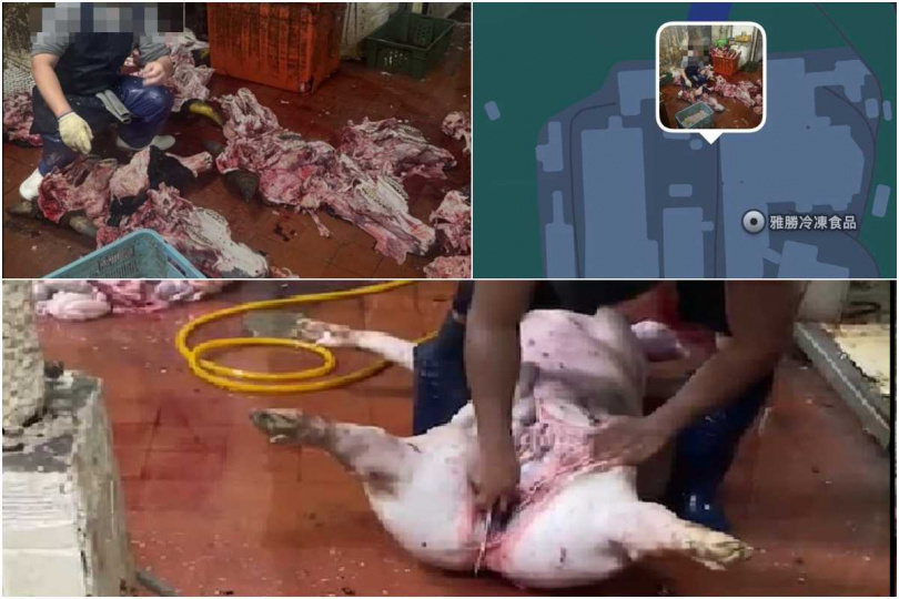 記者比對屠宰影片、牛線屠宰師傅作業畫面,以背景判定屠宰影片確為牛肉內臟處理區,再以照片定位確認該處是雅勝內部空間。(圖/讀者提供,CTWANT合成)