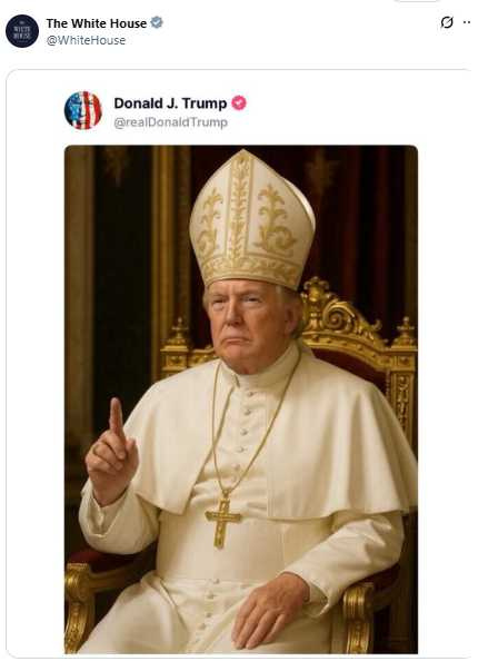 白宮隨後在官方X帳號轉貼這張圖後，在網路上引發熱議。（圖／翻攝自X）