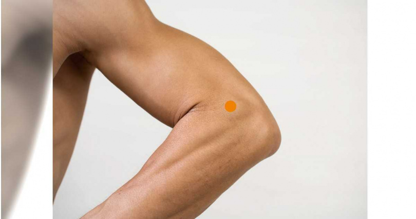 曲池穴位置圖。（圖／王維瀚提供）