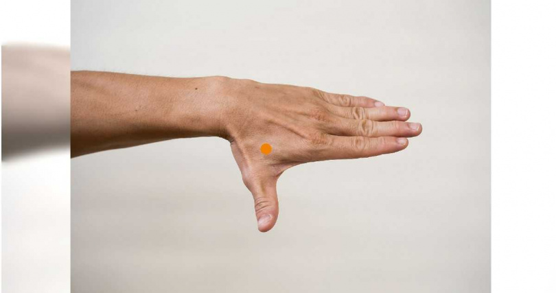 合谷穴位置圖。（圖／王維瀚提供）