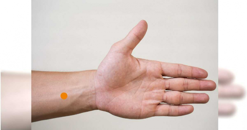 內關穴位置圖。（圖／王維瀚提供）