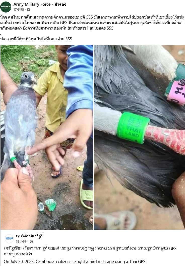 鴿子腳環引爆間諜疑雲，柬泰網友在線開戰，事件在社群平台瘋傳。