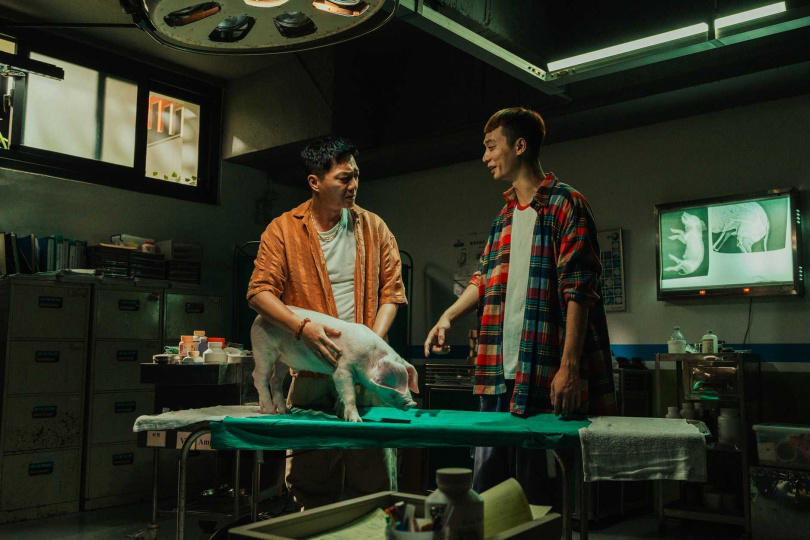 藍葦華（左）跟迷你豬有大量對手戲。（圖／牽猴子提供）