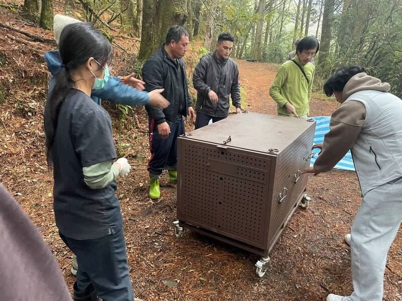 林業保育署嘉義分署與生多所等團隊商討黑熊野放地點。(圖/嘉義林業分署提供)