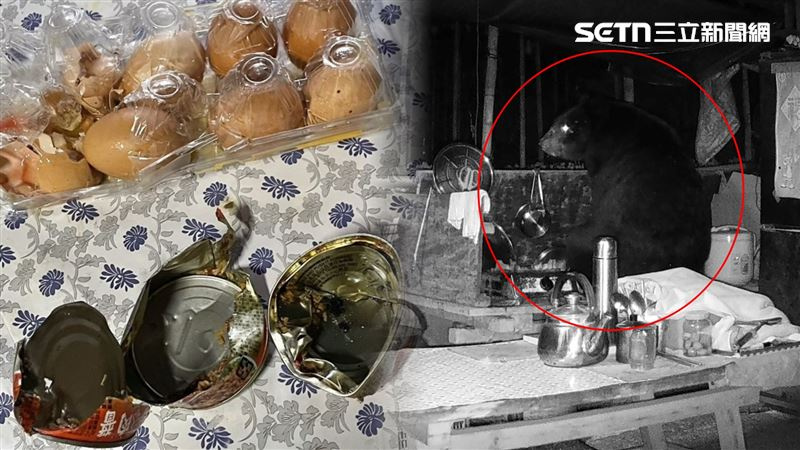 監視器拍到黑熊多次闖入工寮「開冰箱」覓食,今年不到兩個月已9起。(圖/翻攝畫面)
