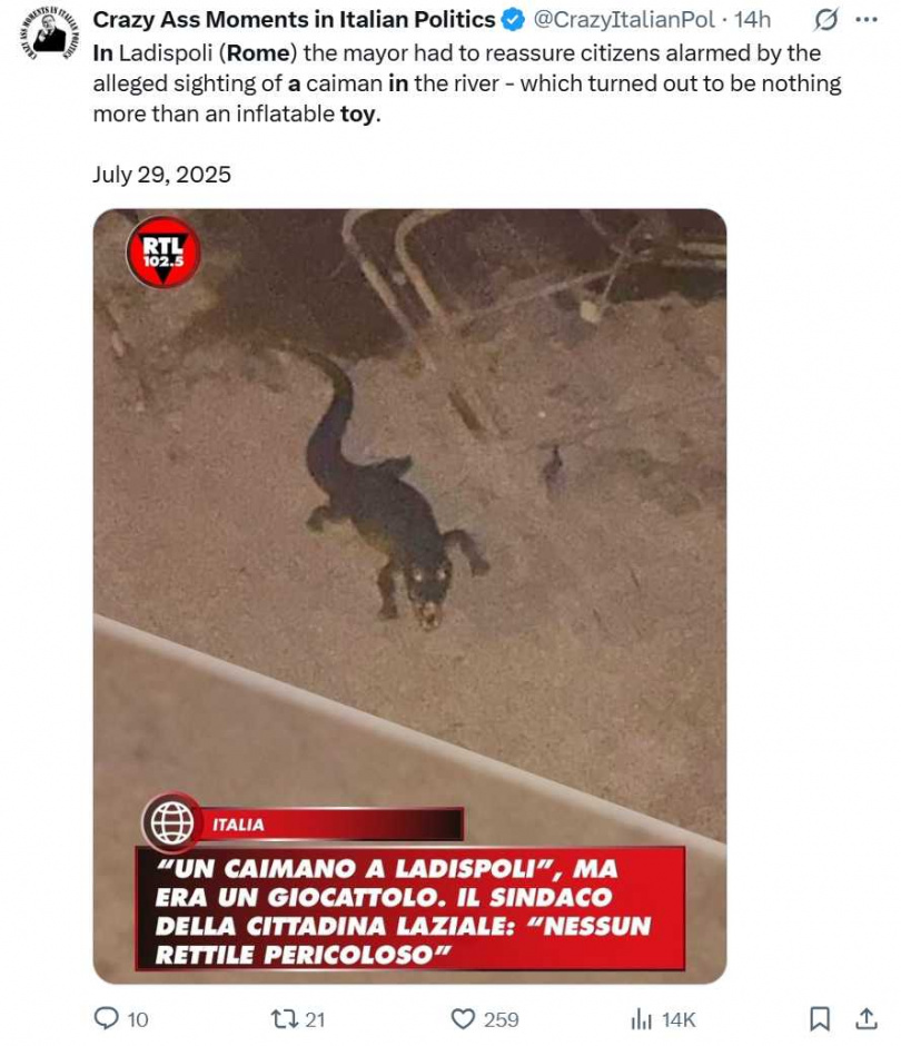 引發騷動的「鱷魚」實為民眾遺留在遊樂場的充氣玩具,事後遭人丟入河中引起誤解。(圖/翻攝自X)