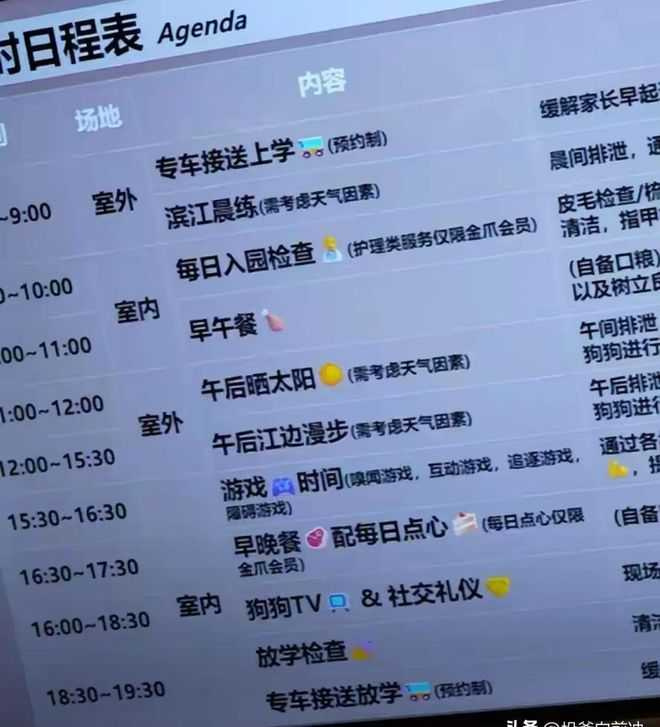 上海有飼主每月花費約1.2萬元人民幣（約新台幣5.3萬元），送犬隻至「狗狗幼兒園」接受訓練與托管。（圖／翻攝自卷史）