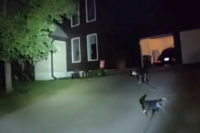 忠犬帶領警車走了約半個街區，最後轉進主人住家的車道。