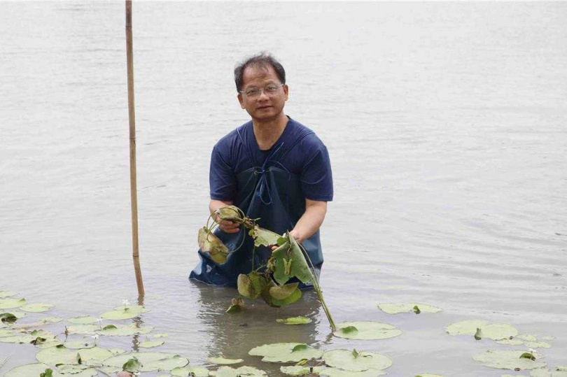 嘉義分署長李定忠也親自種下一株株印度莕菜苗，期待長成一整片水雉的「浮」地。（圖／翻攝畫面）