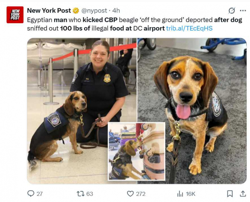 埃及旅客杜勒斯機場踢擊緝毒犬遭遣返，逾百磅未申報食物曝光。（圖／翻攝自X）