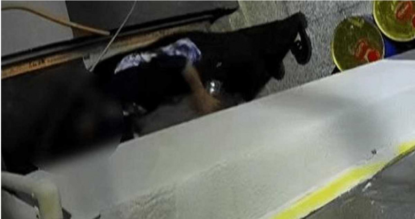 監控拍下鄰居母女深夜提袋進入，往雜物間倒入貓砂與貓糞。（圖／翻攝自極目新聞）