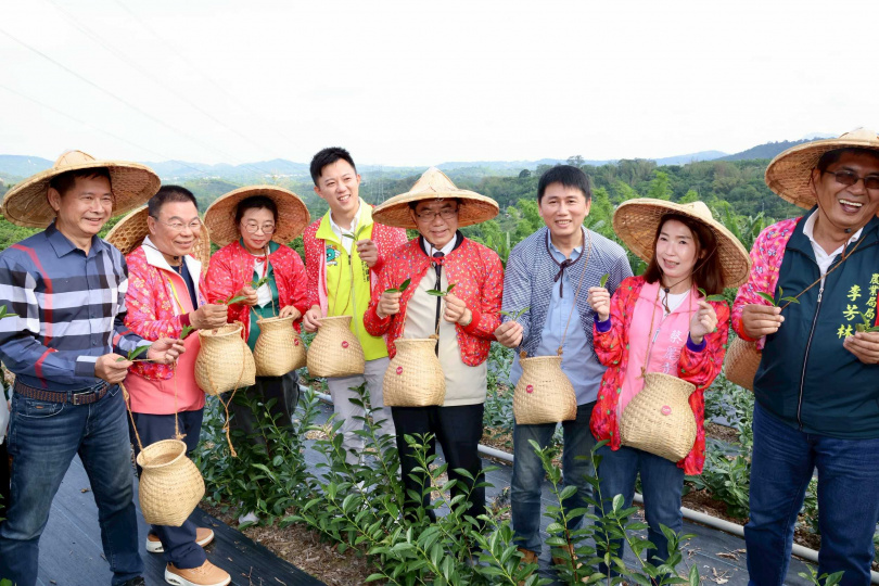 東山區茶園迎來首批採收，象徵台南正式加入台灣茶產業版圖。（圖／台南市政府提供）