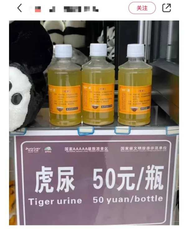 大陸四川雅安碧峰峽野生動物園被民眾爆料在販售虎尿，每瓶售價人民幣50元（約新台幣228元），園方證實很多人買，對風濕有功用，除了外用擦患處，還有人內服，但強調有過敏症狀應暫停使用。（圖／翻攝小紅書）