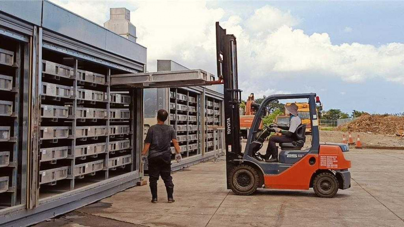 和美鎮清潔隊目前有兩座黑水虻貨櫃屋，其內共規畫了72層黑水虻居處。（圖／葉靜美攝）