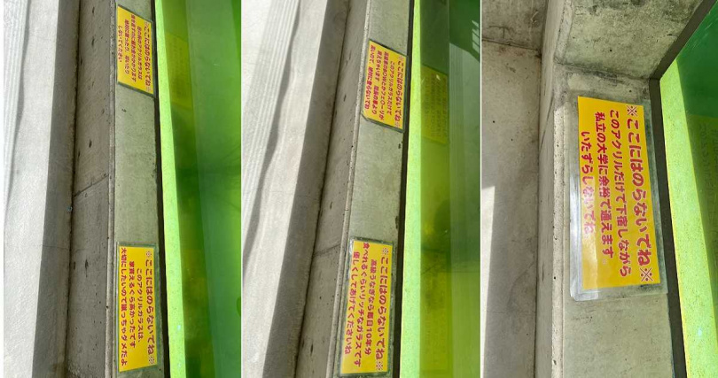 日本網友「@yukarinhocha」在社群媒體平台X分享水族館的幽默標語,讓人會心一笑。(圖/翻攝自X/yukarinhocha)